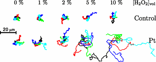 Janus Particle Trajectories