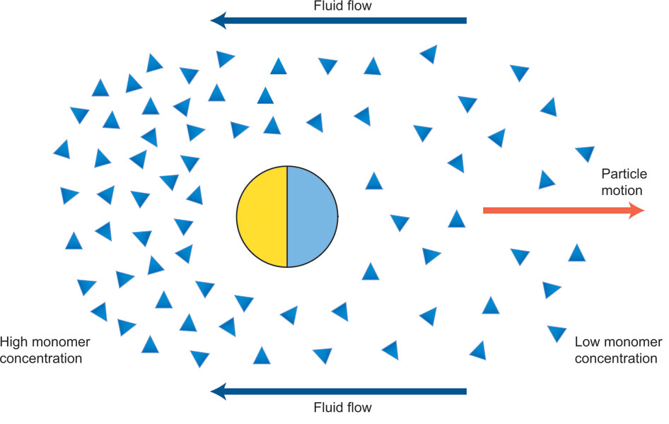 Janus Particle Flow