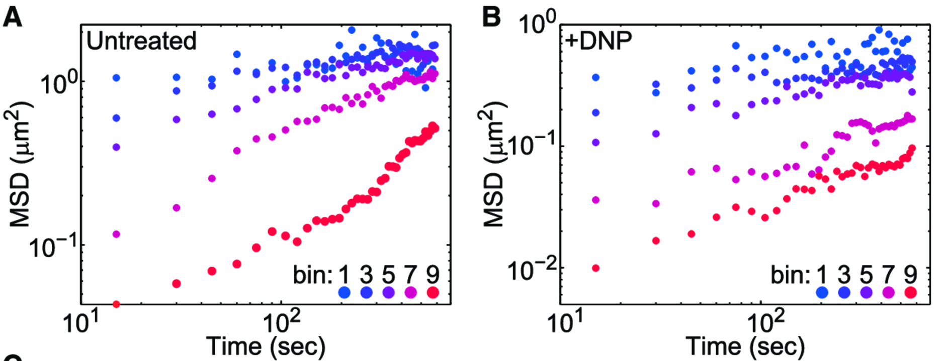 MSD of untreated vs. DNP+ cells