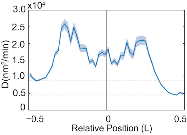 wiggins diffusion B