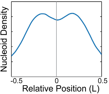 Figure from Wiggins